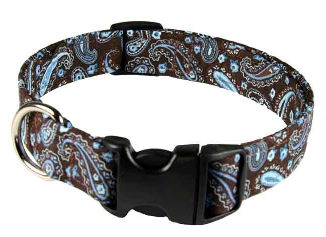 Brown  with blue paisley ribbon adds class to a deluxe dog collar.