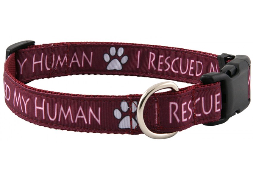 A standard dog collar made from ribbon.