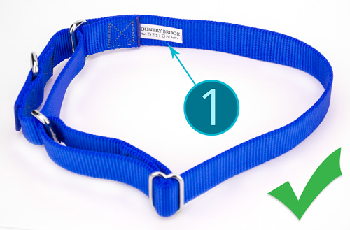 Position a Martingale this way before you put it over the dog's head.